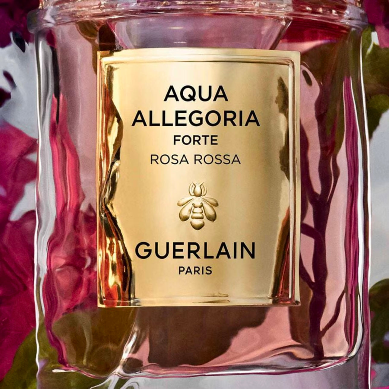Aqua Allegoria Rosa Palissandro Forte - Eau de Parfum 75 ml EDP